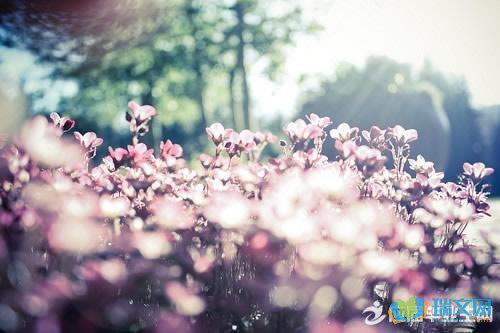 我们所能做的就是尽可能避免负能量情绪