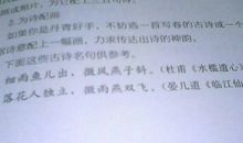 描写心情很好的诗句