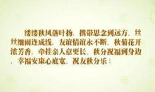 对恋人思念的句子