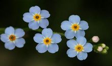 发朋友圈自己对自己好的句子