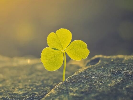 我知道这是不可避免的