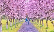 孩子们春游开心的句子