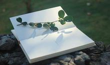 明知道我想你的句子