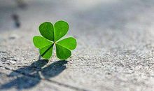 情人无泪经典语录