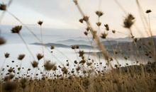 描写友情的文艺句子