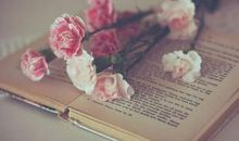 温暖阳光的个性签名