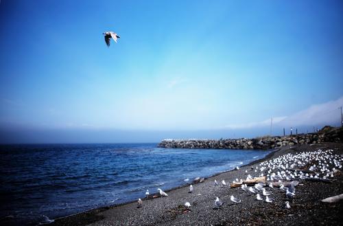 让我们看一下小编编撰的关于感到幸福和饱满的句子
