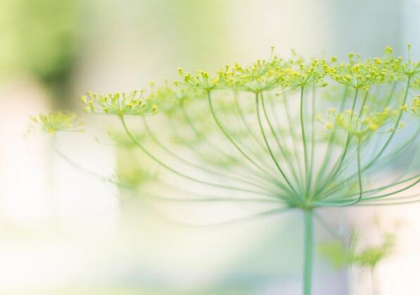   文学迷的青春校园句（1）  1