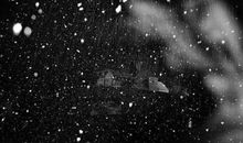 男人对一段婚姻的失望的句子