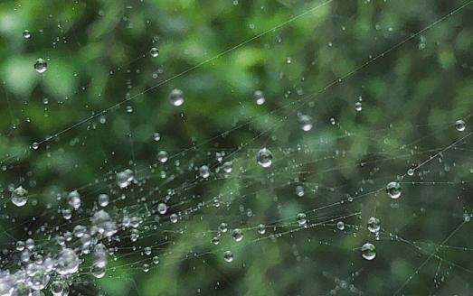 似乎春天只到了天空