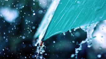 最悲伤和无助的时间是他对大家庭感到失望的那一刻