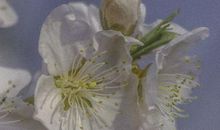 2020四月再见五月你好唯美励志说说句子