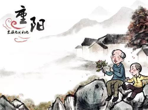 我想到的是菊花