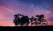 古代友情的句子