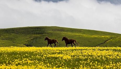 关于自由生活的句子 1