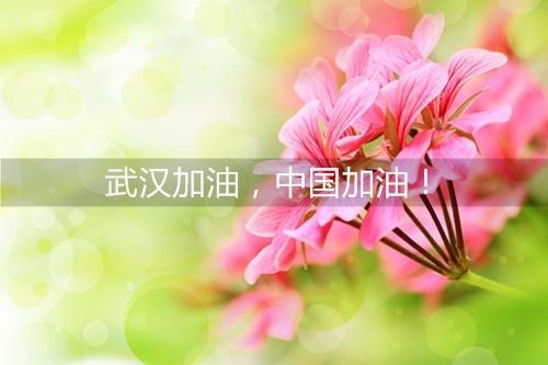 我们无聊的每一天都是一线奢侈品