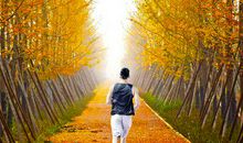 搞笑口号大全嚣张的