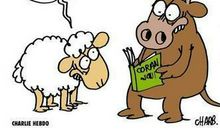 心情不爽骂人的话