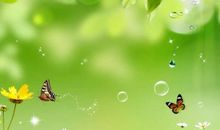 关于春天的人生格言