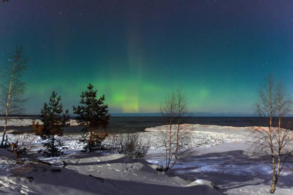 我会寄给你一头驴