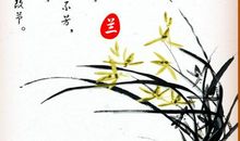 描写兰花的古诗