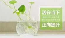 早安一句话正能量