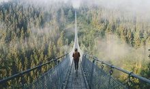 关于对爱人失望的句子