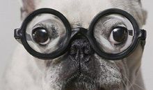 有关幽默的金句 名人是如何定义幽默的