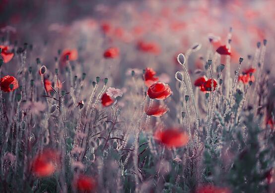 超级悲伤的爱情句子(1) 1