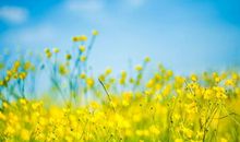 16句感情语录经典短句