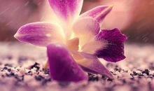 看懂人生的哲理句子大全