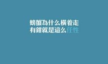 就是任性的说说