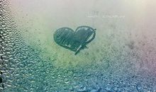 职场富有哲理的句子有哪些