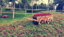 祝女儿生日快乐的句子