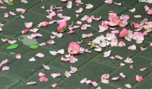 富有人生哲理的句子有哪些