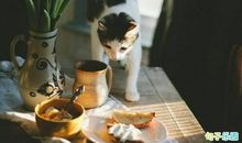 海明威最有名的名言 海明威最著名的十句话