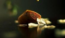 最新唯美幸福的经典语句