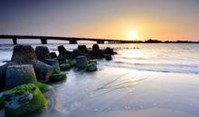 有付出才会有收获的哲理句子