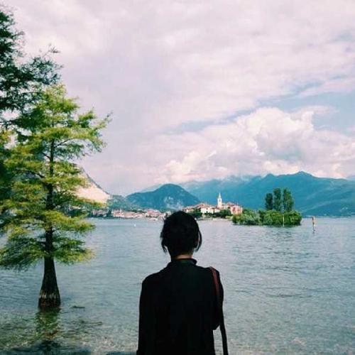 请欣赏编辑编撰的关于情绪短语的有趣句子