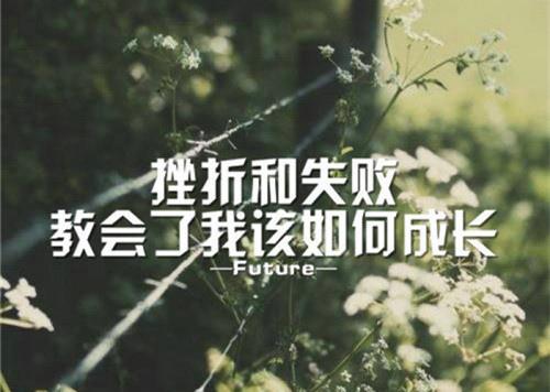 我们应该尽力以我们想要的方式生活