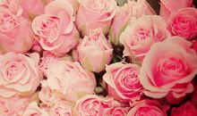 描写满满幸福的语句