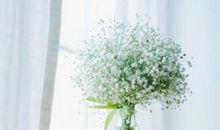 励志语录短句：遇到阴天，就努力做自己的小太阳吧