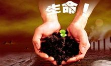 生命意义的名言