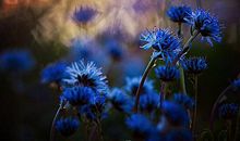 2019最新对生活美好幸福的句子