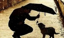 关于善良的名言