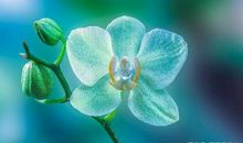 发说说的句子关于亲情