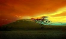 为国家奉献的名言名句 关于奉献的名言名句