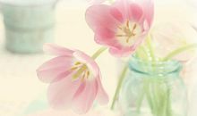 哄人开心的幽默句子