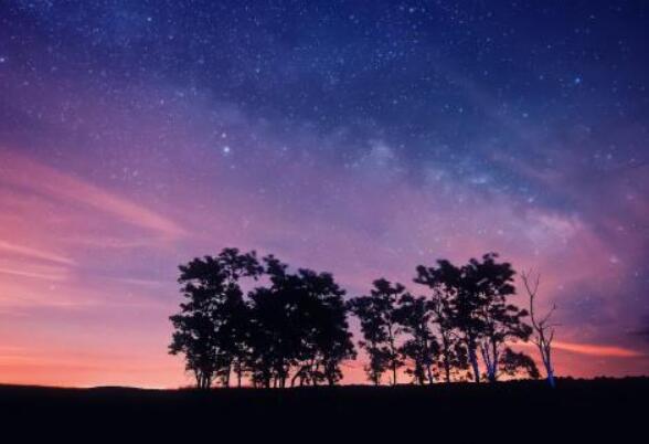 以下是小编编写的关于奶茶的漂亮短语