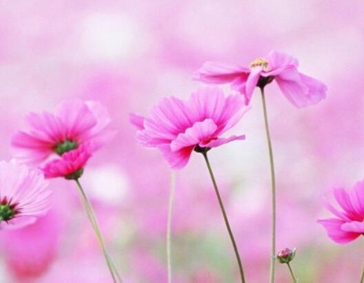 每天晚上喝每失眠